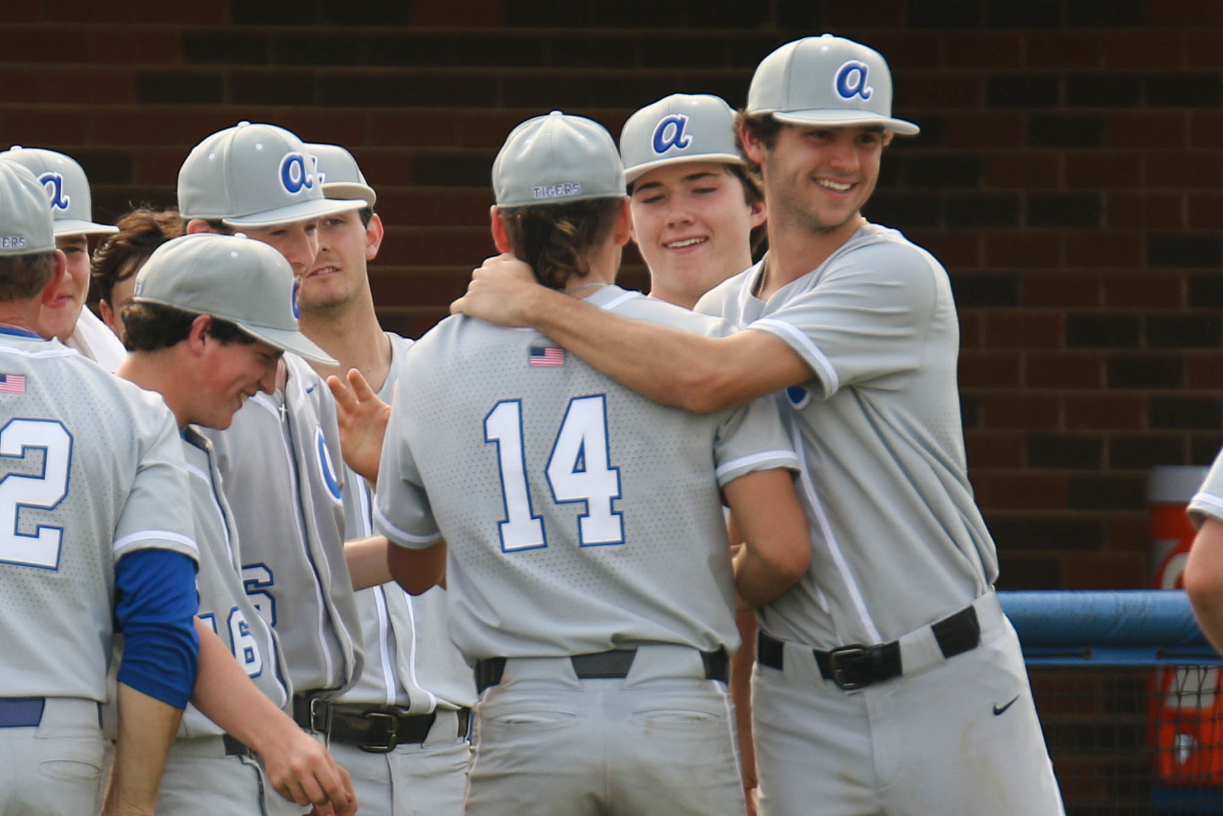 Auburn High vs. Hewitt-Trussville high school baseball